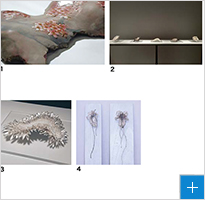1.思索する最中　2.Hysteria（全体）　3.Hysteria（部分）　4.化